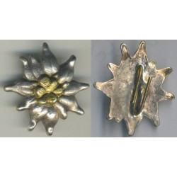 Edelweiss 28x31 mm